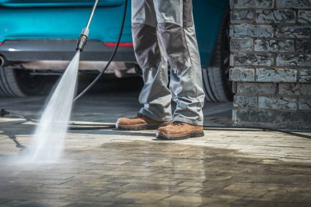 Best Rust Removal  in White Cloud, MI