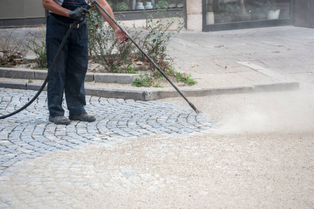 Best House Exterior Washing  in White Cloud, MI